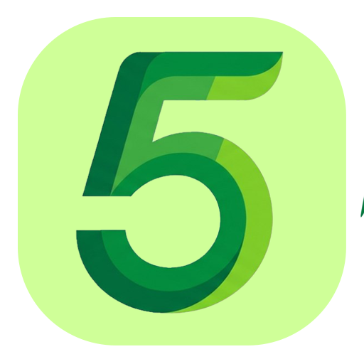 5 займов